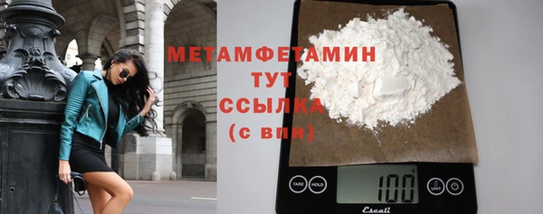прущие грибы Беломорск