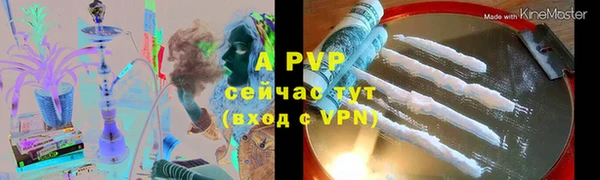 прущие грибы Беломорск