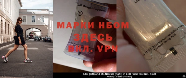 прущие грибы Беломорск