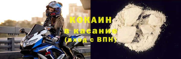 прущие грибы Беломорск