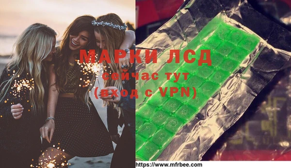 прущие грибы Беломорск
