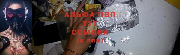 прущие грибы Беломорск