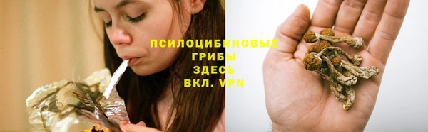 прущие грибы Беломорск