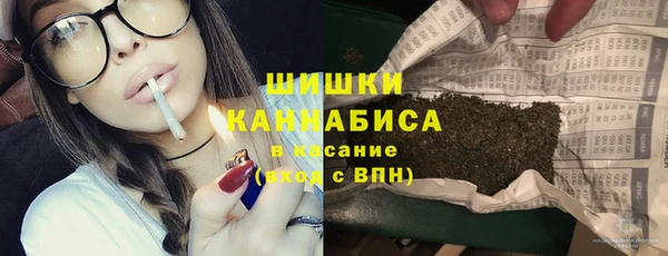 прущие грибы Беломорск